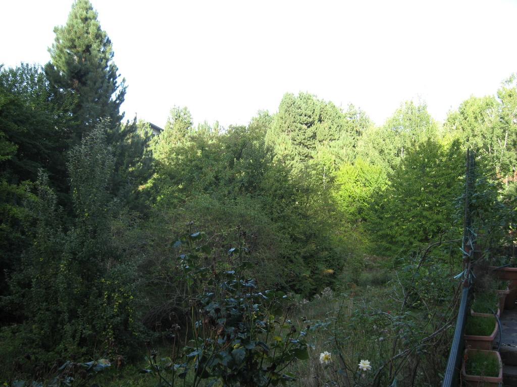 Le Tre Rose Montagna Camigliatello Silano Quarto foto
